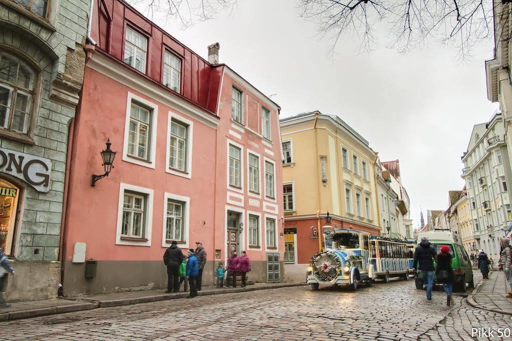 Daily - Old Town Fat Margaret Tallinn